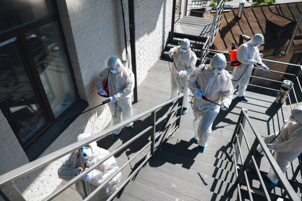 Trusted North Weeki Wachee, FL Mold Removal Experts