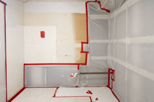Best Mold Removal for HVAC Installations  in North Weeki Wachee, FL