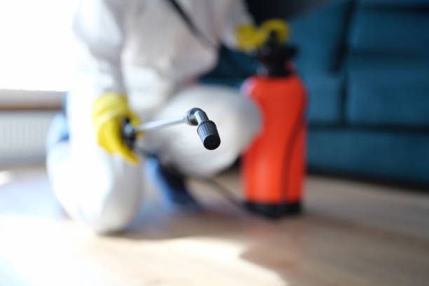Best Mold Damage Restoration  in North Weeki Wachee, FL